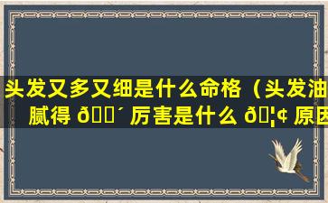 头发又多又细是什么命格（头发油腻得 🌴 厉害是什么 🦢 原因造成的）